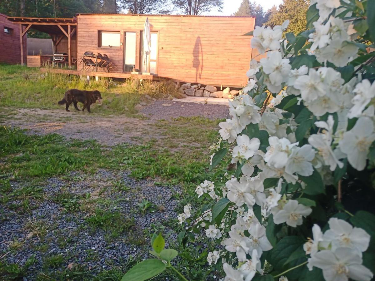 Fox House Tisa / Rajec Hotel ภายนอก รูปภาพ